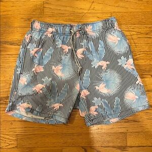 Tropical Print Blue and Pink Swim Board Shorts